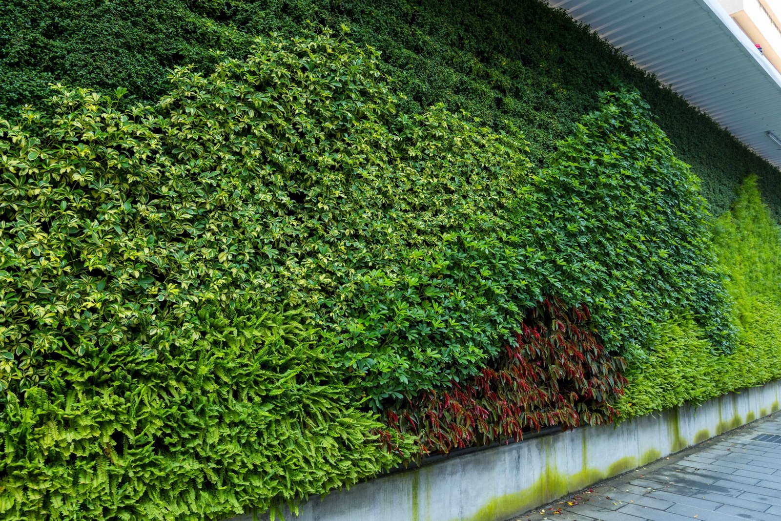 Green Walls